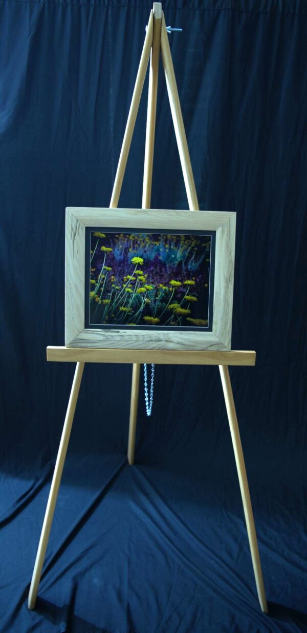 Brittlebush and Lupines - Image 2