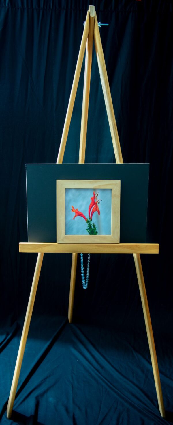 Honeysuckle Flower - Image 3