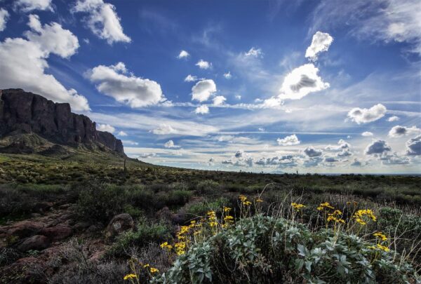 Arizona 2026 Calendars - Image 10