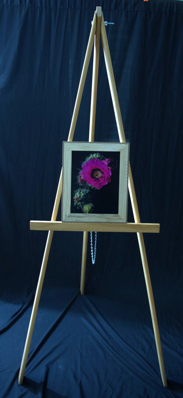 Pink Hedgehog Bloom - Image 3