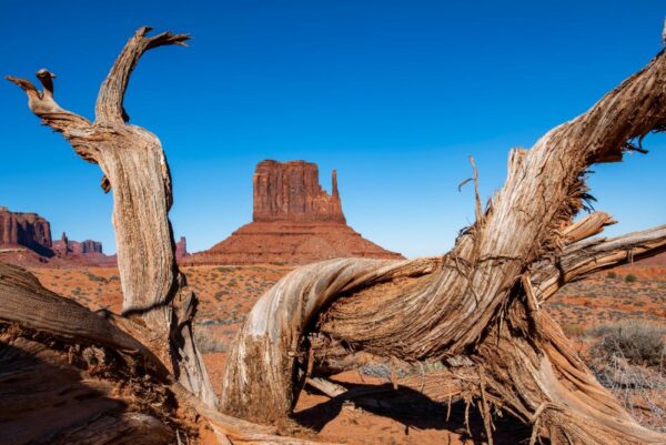 Arizona 2026 Calendars - Image 7