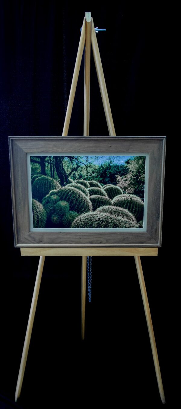 Barrel Cactus Cluster - Image 2