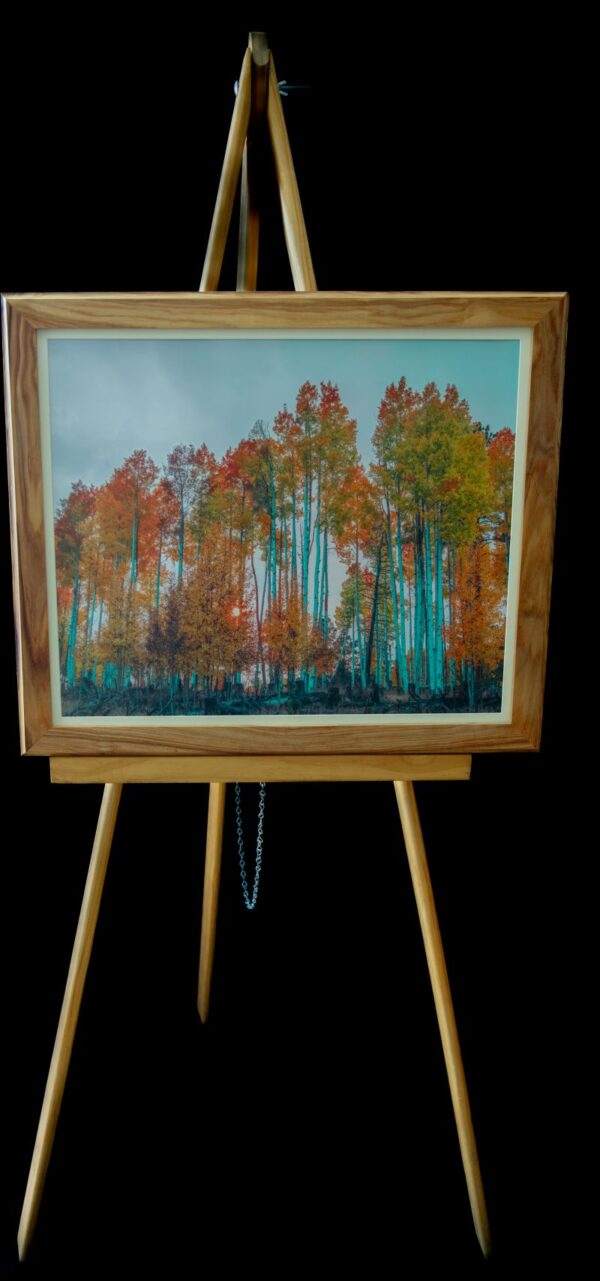 "Blue" Aspens - Image 2