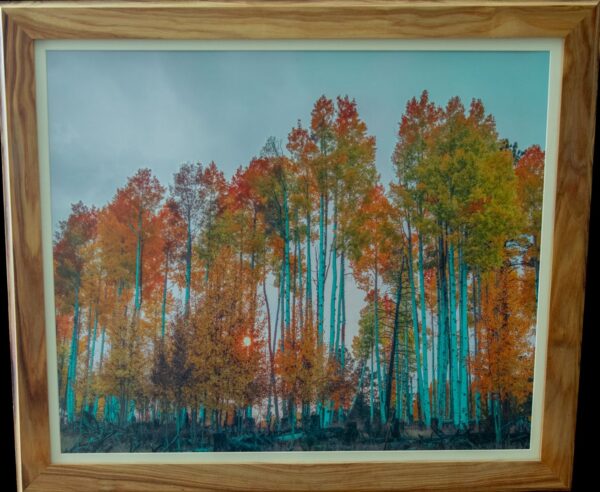 "Blue" Aspens
