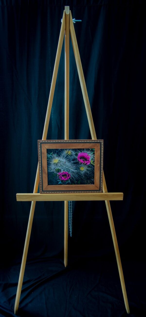 Hedgehog Blooms - Image 2