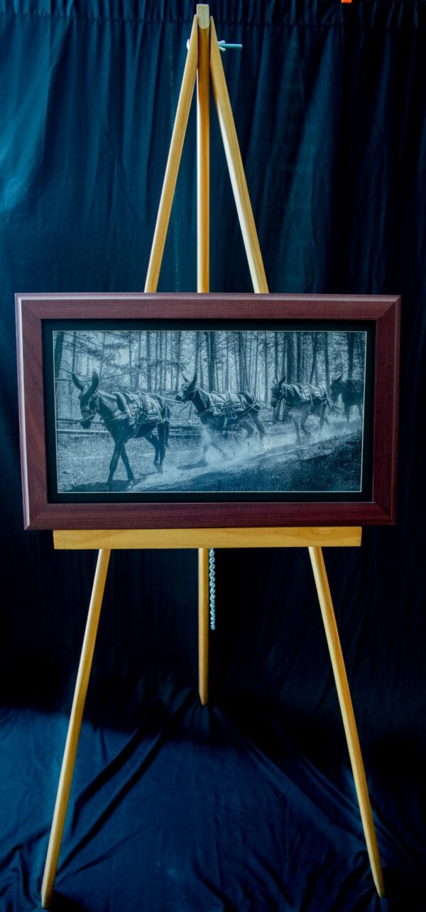 Mule Team - Image 3