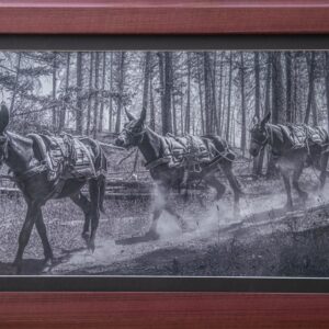 Mule Team