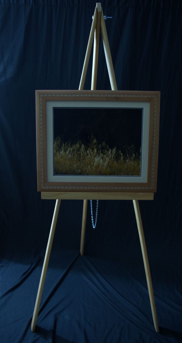 Bug Hatch - Image 2
