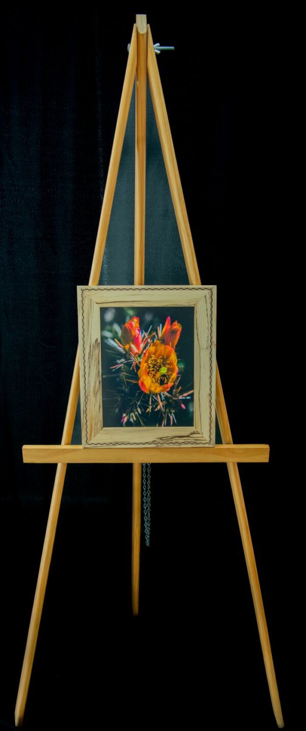 Orange Cholla Cactus Bloom - Image 2