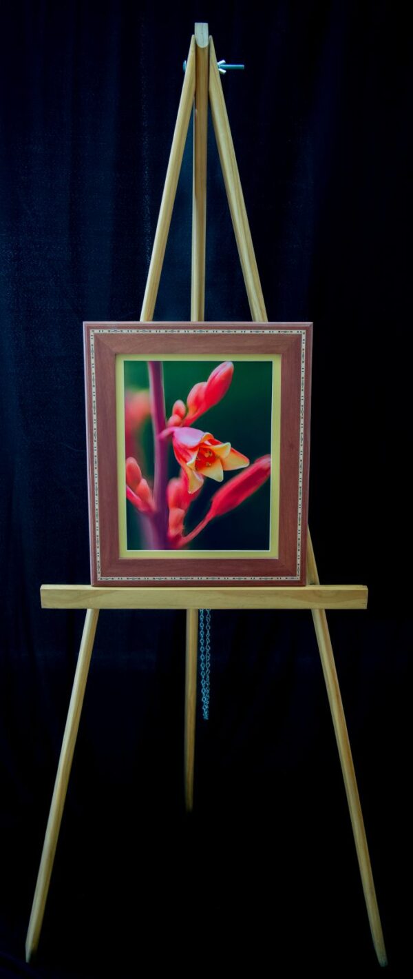 Red Yucca Bloom - Image 2