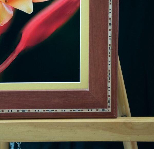 Red Yucca Bloom - Image 3