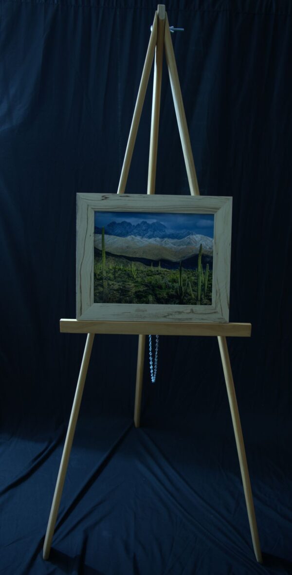Saguaros with Snow - Image 3