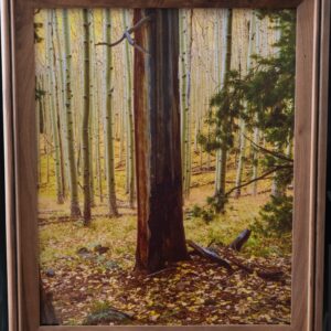 Striped Pine with Aspens