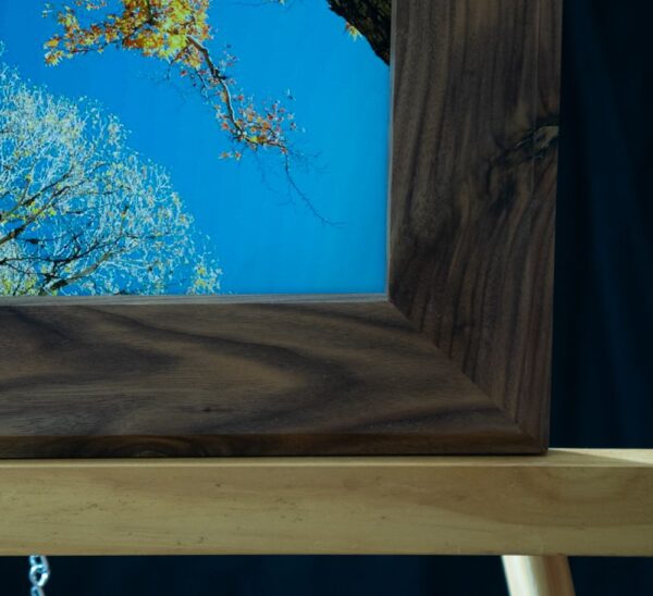 Sycamore Tree - Image 3