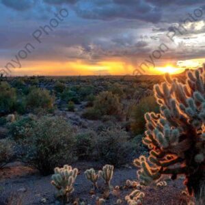 Desert Glow