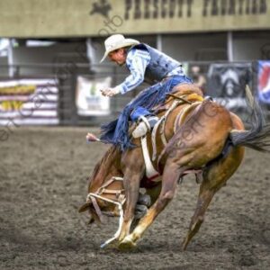 Saddle Bronc 1
