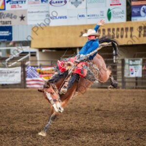 Saddle Bronc 4