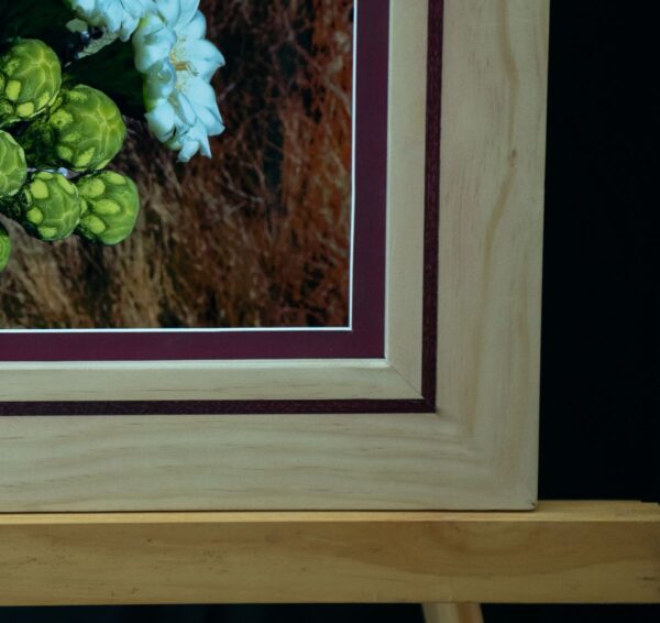 Saguaro Blooms - Image 3