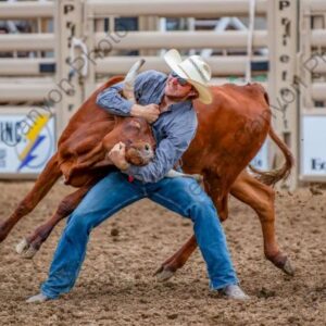 Steer Wrestler