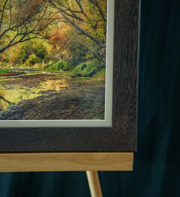 Sycamore Creek - Image 3