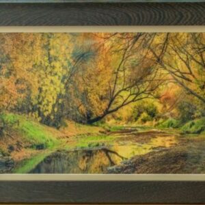 Sycamore Creek