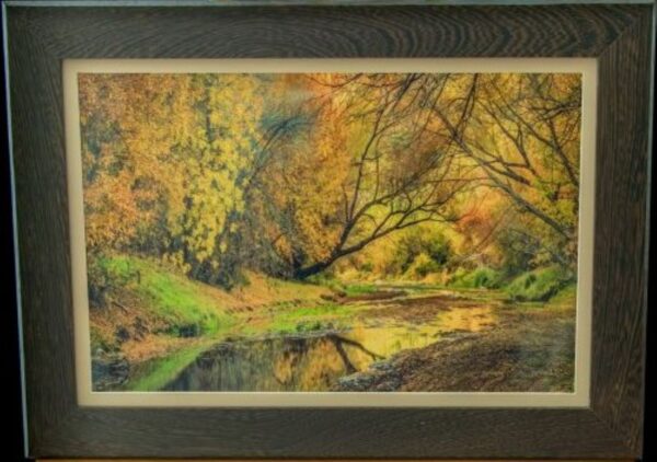 Sycamore Creek