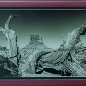Monument Valley Twisted Tree
