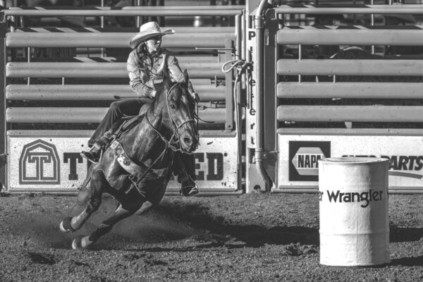 Rodeo Highlights - Image 2