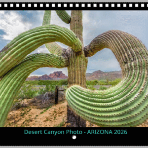 Arizona 2026 Calendars