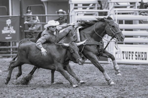 Rodeo Highlights - Image 4