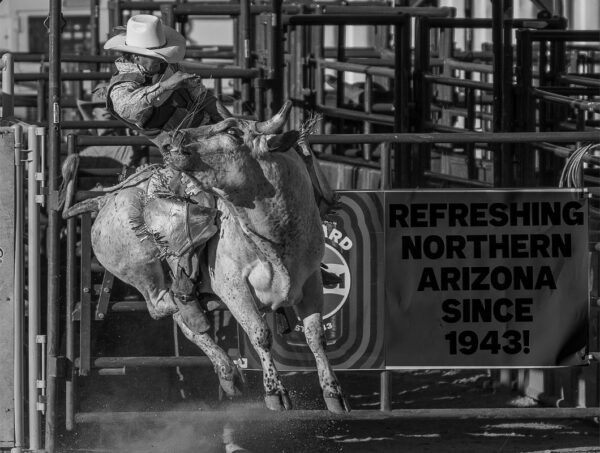 Rodeo Highlights - Image 6