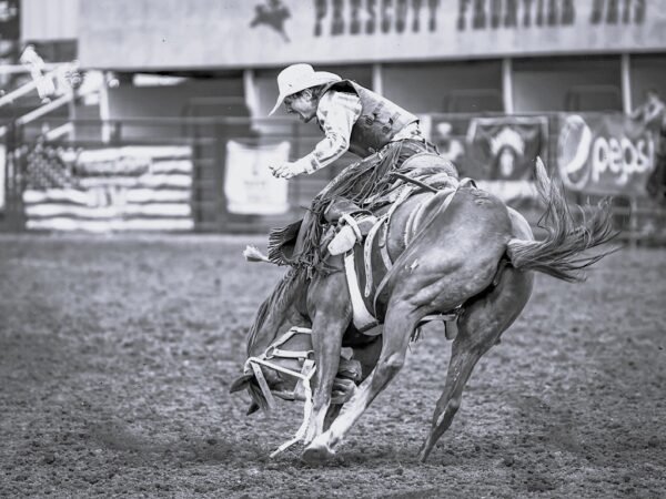 Rodeo Highlights - Image 7