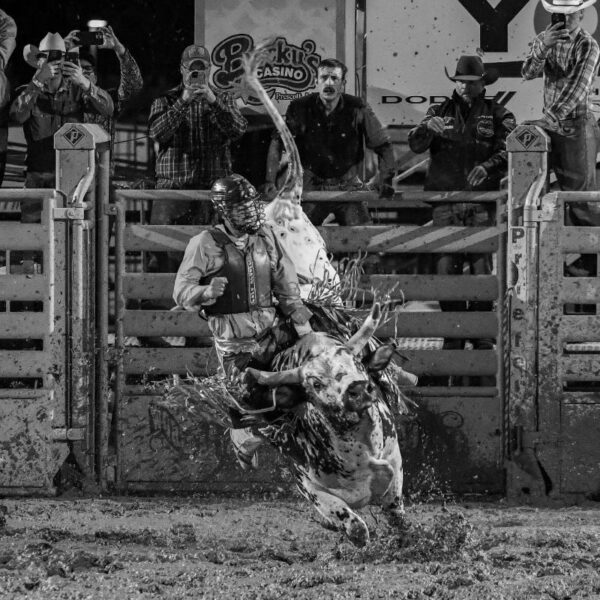 Rodeo Highlights - Image 9