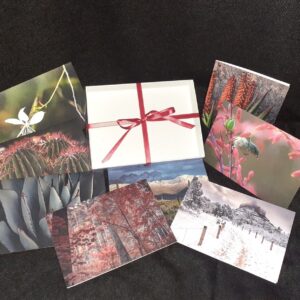 Holiday Cards