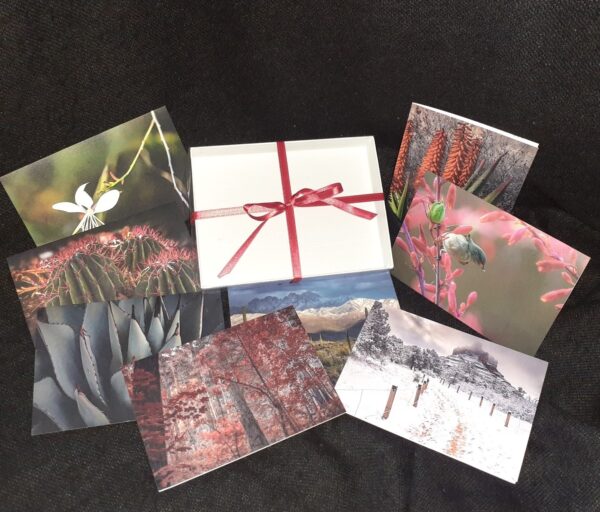 Holiday Cards