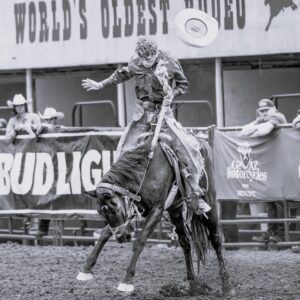 Rodeo Highlights