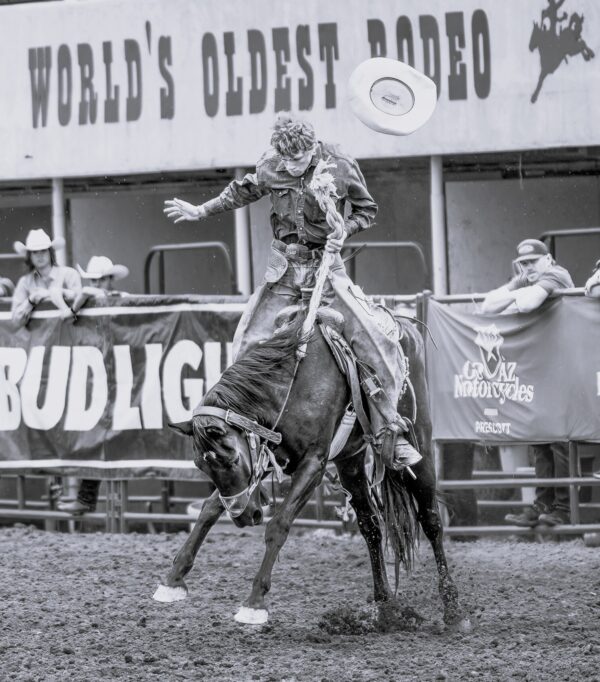 Rodeo Highlights