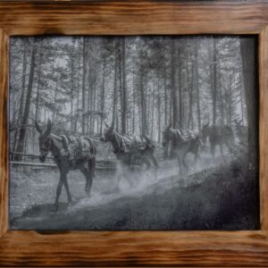 Mule Team (medium print)